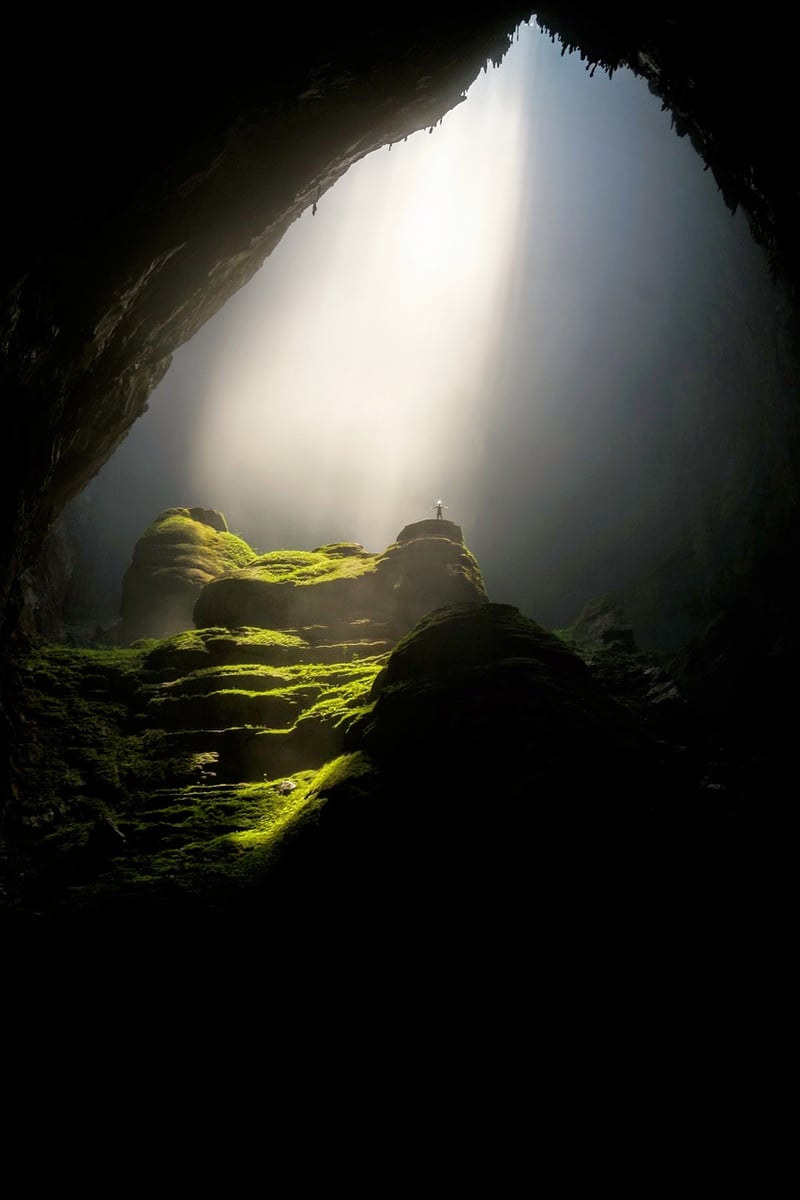 Sparkling Underground Burrow